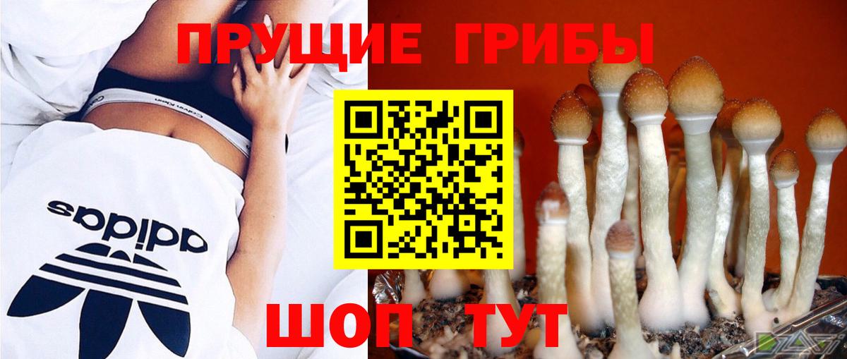 Псилоцибиновые грибы Psilocybine cubensis Феодосия